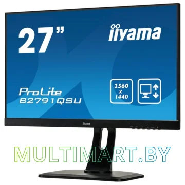 Монитор Iiyama ProLite B2791QSU-B1 картинка 3